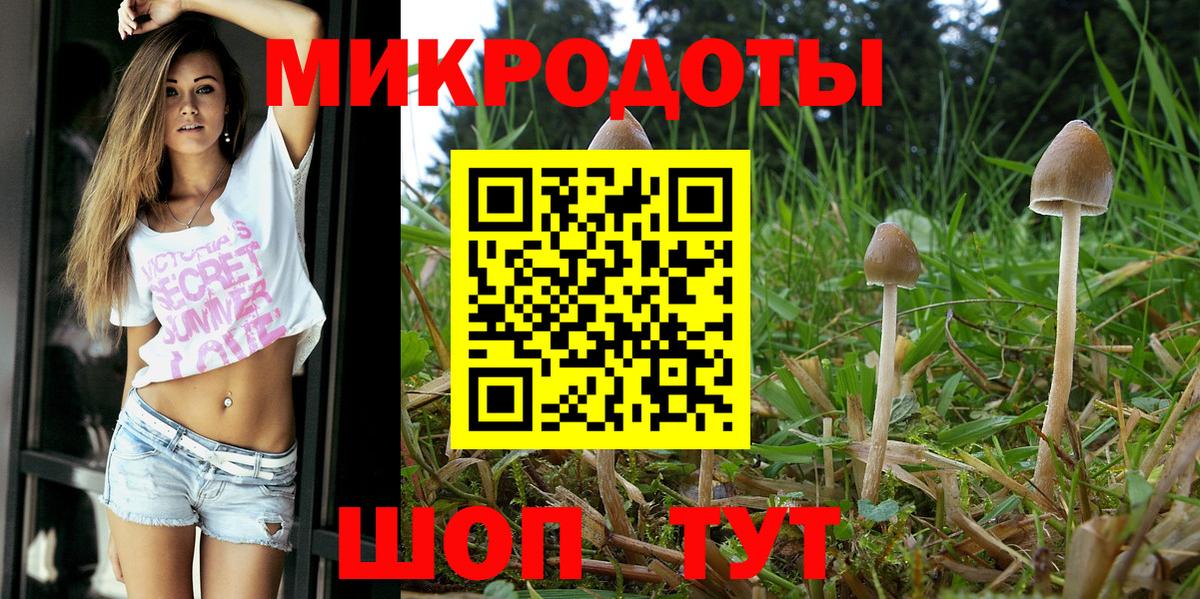 Конаково  Галлюциногенные грибы MAGIC MUSHROOMS  Вход с VPN 