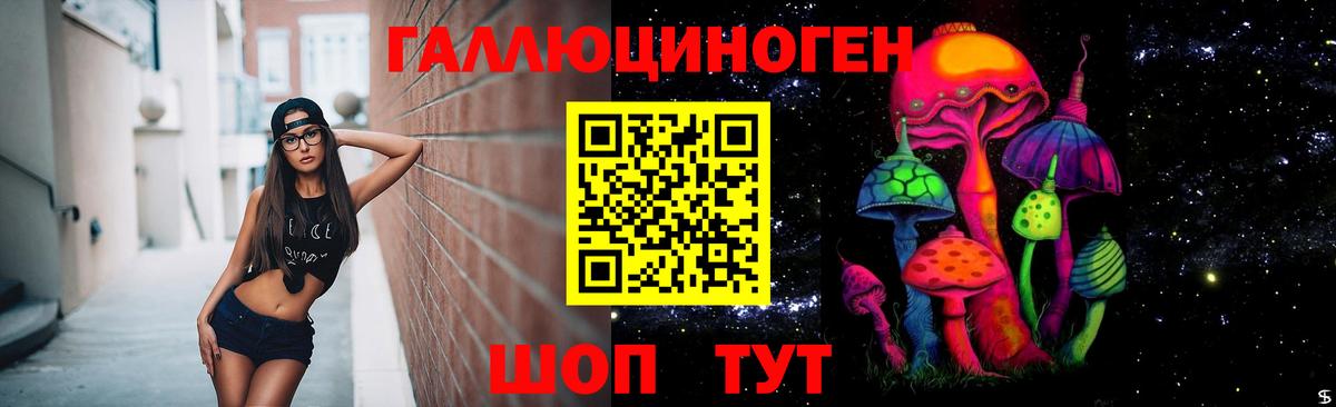 Псилоцибиновые грибы мицелий Конаково